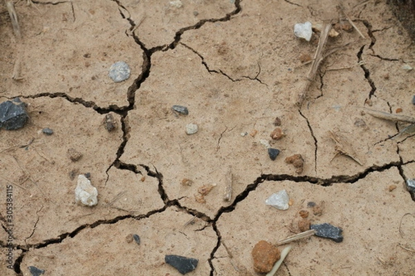 Obraz dry cracked earth