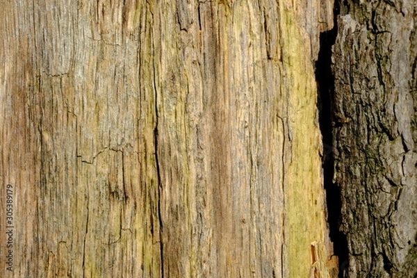 Fototapeta verwitterter Holzpfosten mit Draht