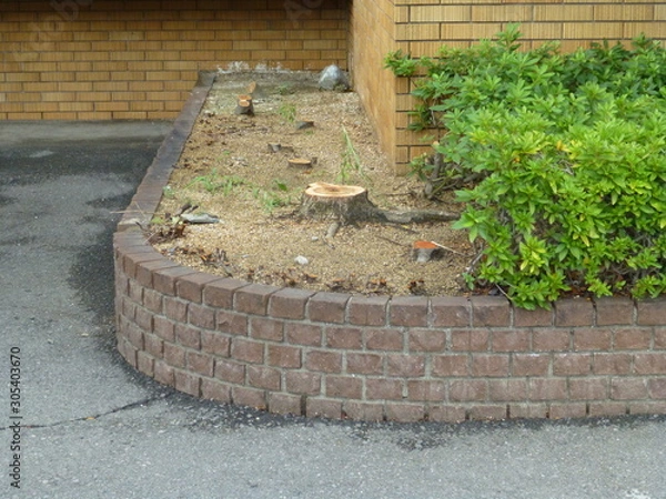 Fototapeta 工事写真　花壇