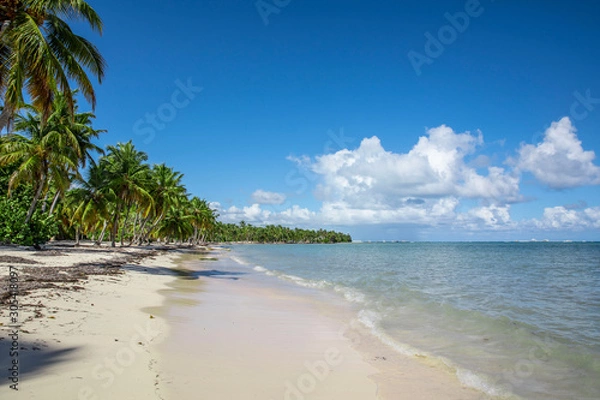 Fototapeta Punta Cana 