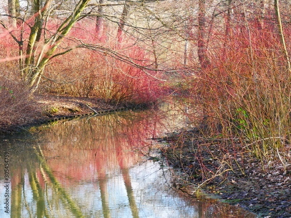 Obraz Landschaft