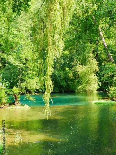 Obraz See