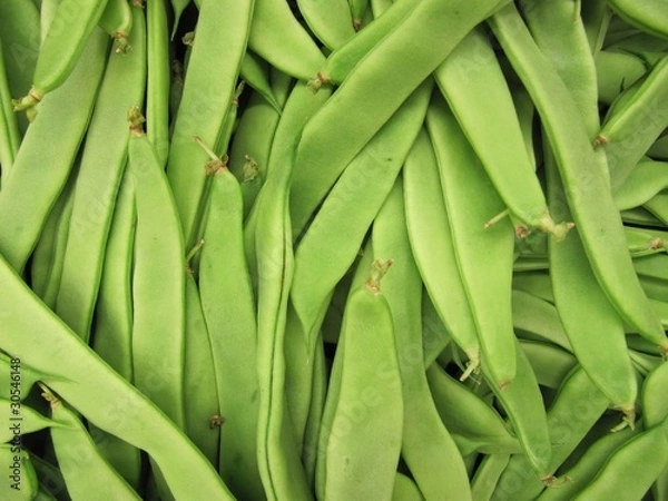 Obraz Judías verdes planas