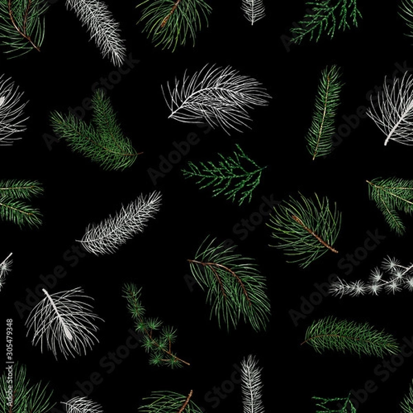 Fototapeta watercolor christmas pattern . conifer, pine branches. winter forest