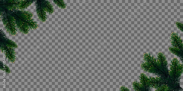 Obraz Green Christmas tree branches