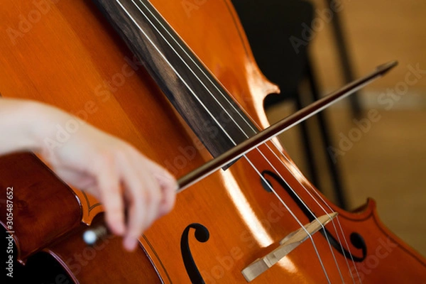 Fototapeta Fiddlestick on the strings of a cello closeup