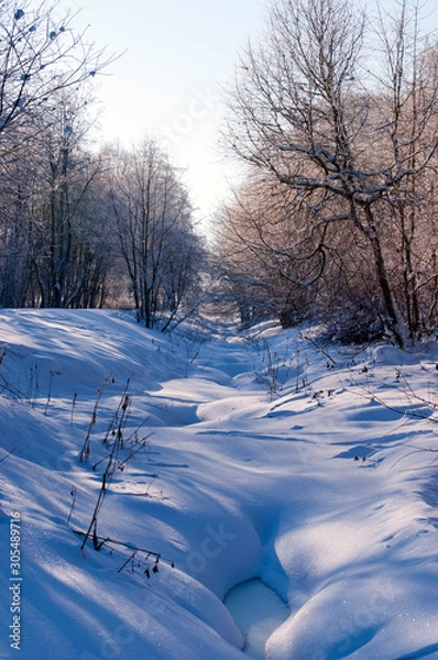 Obraz winter landscape with road and trees