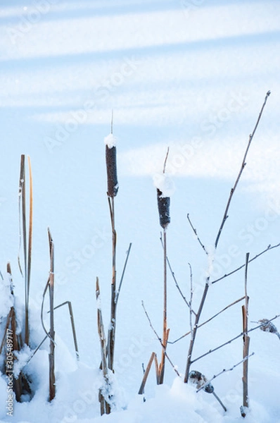 Obraz masts and blue sky