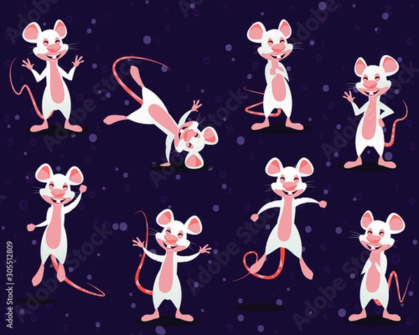 Fototapeta White Rat. Chinese New Year. Year of the rat. Lucky mouse vector illustration