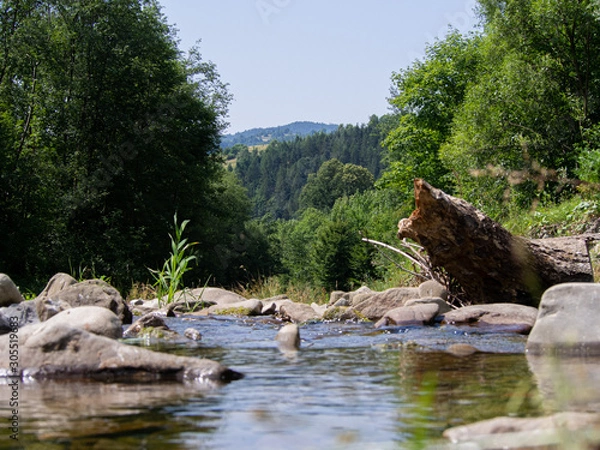 Obraz OLYMPUS DIGITAL CAMERA