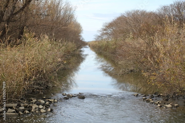 Obraz 初冬の大潟村