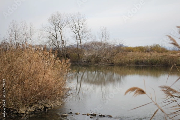 Obraz 初冬の大潟村