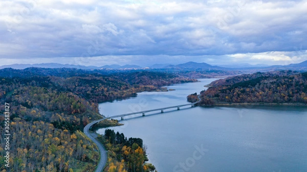 Obraz 湖にかかる橋