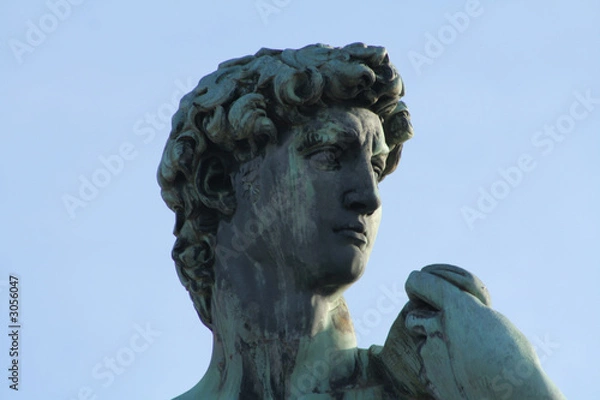 Obraz firenze - david