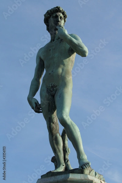 Obraz firenze - david