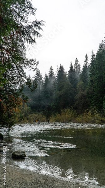Obraz river in the forest