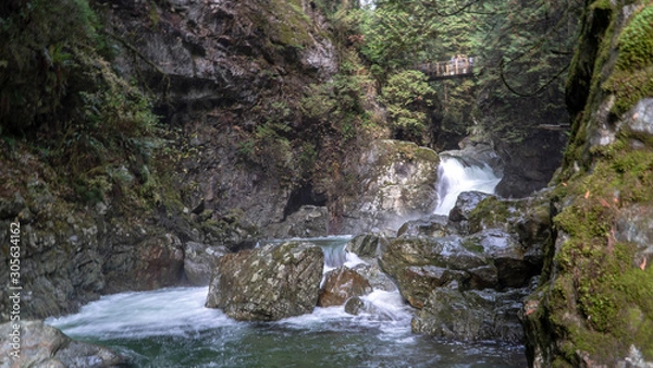 Obraz waterfall in the forest