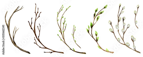 Fototapeta Watercolor tree branch with green leaves, pussy willow. For Spring Easter wreath, frame maiking Hand drawn illustration. Isolated design element for invitations, poster, greeting card concept.