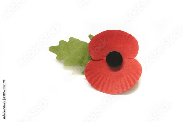 Obraz poppy for rememberance