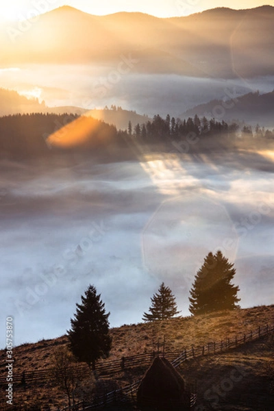 Fototapeta Wonderful misty rural autumn morning. Landscape with low fog,trees,mountains at sunrise in Bucovina,Romania