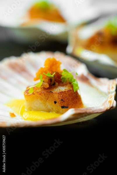 Fototapeta Scallop
