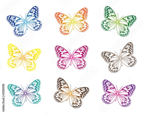 Obraz Schmetterlinge Silhouette