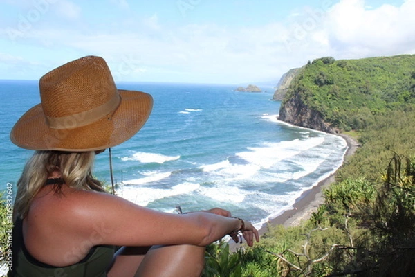 Obraz Pololu View