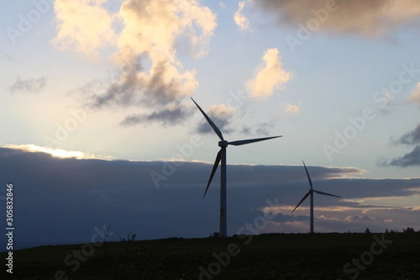 Obraz Hawaii Windmill