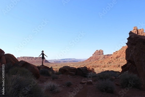 Obraz Desert Girl Desert Twirl