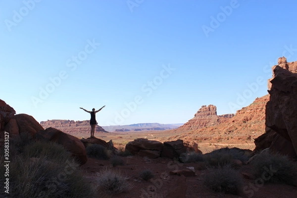 Obraz Desert Freedom