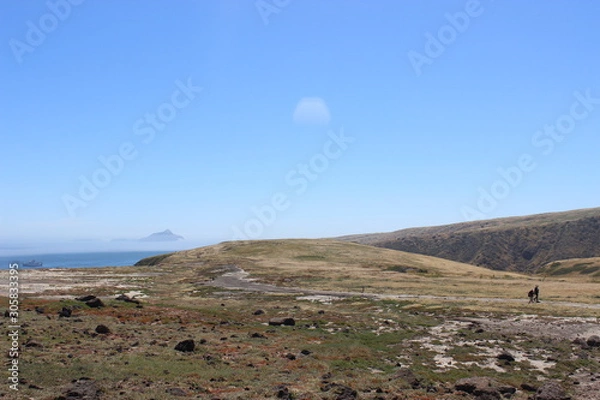 Obraz Catalina Island Grassy View