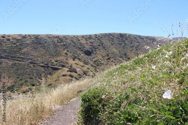 Obraz Catalina Hillside Hike