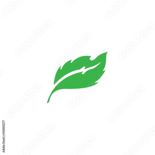 Obraz green leaf ecology nature element