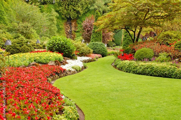 Obraz Lush summer garden