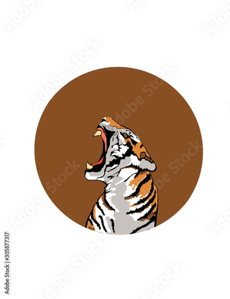 Fototapeta tiger