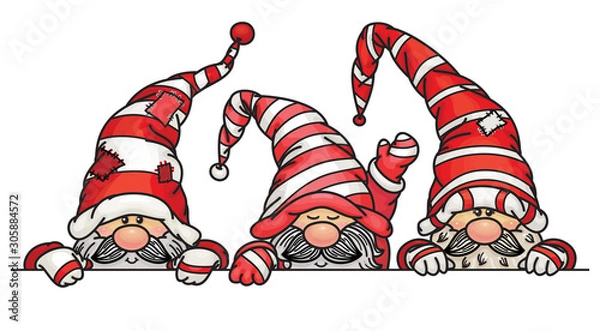 Fototapeta Vector  cute gnomes cartoons hiding  by blank,  isolated on white.