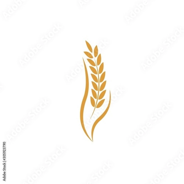 Fototapeta Agriculture wheat Logo Template vector icon