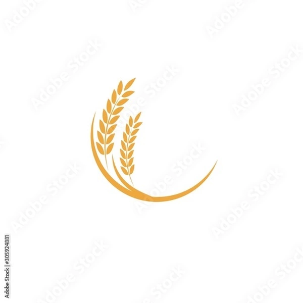 Fototapeta Agriculture wheat Logo Template vector icon