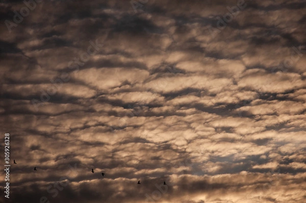 Fototapeta sky with clouds