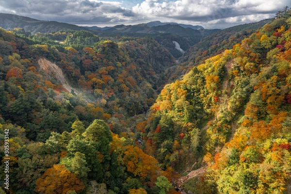 Obraz 九重夢大吊橋