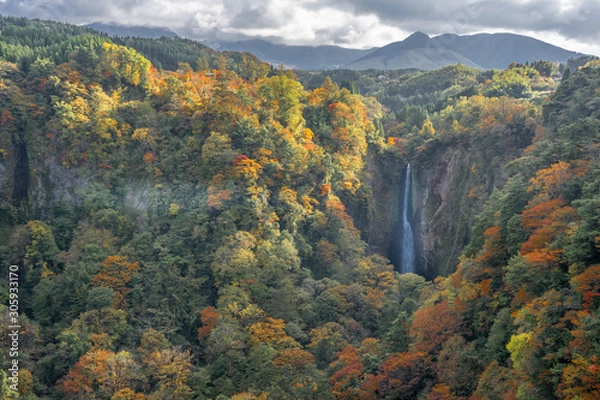 Obraz 九重夢大吊橋