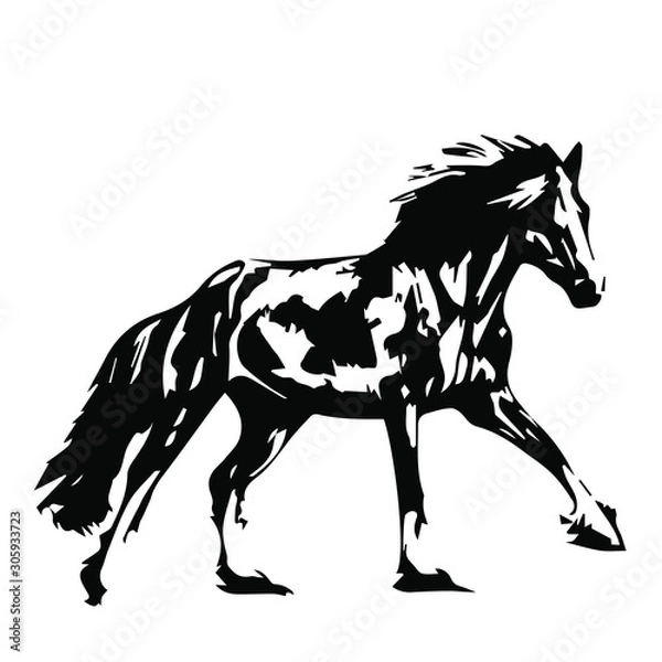Fototapeta Hand drawn horse vector isolated on a transparent background