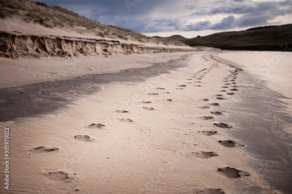 Obraz foot prints on the sandy beach