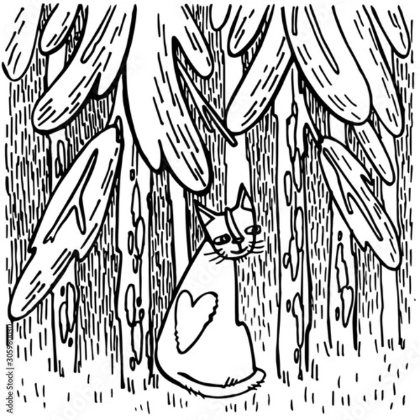 Obraz Dark impenetrable forest. Good old cat.