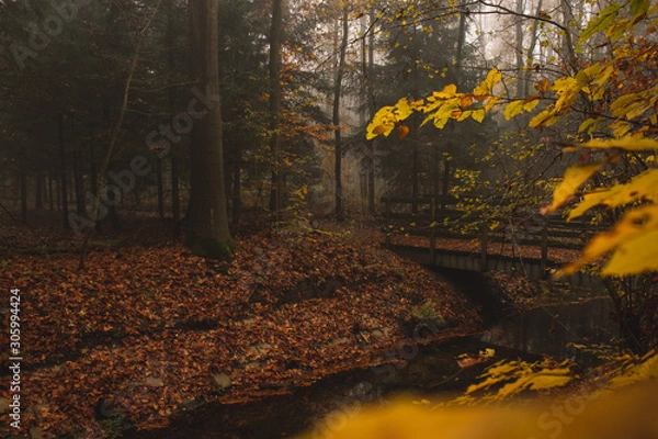 Fototapeta Wooden bridge with lots of trees in a foggy forest.