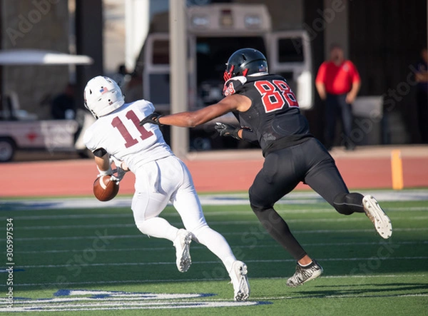 Fototapeta Action photos of high school football players making amazing plays during a football game