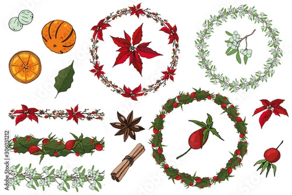 Fototapeta Vector Christmas set of brushes, wreaths, elements. From red poinsettia and cinnamon and mistletoe, rose hip, nuts, cotton bolls, twigs, bows on a white background.Vector EPS 10.