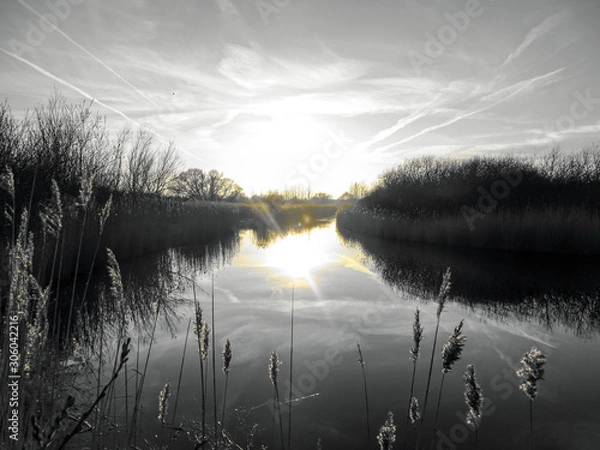 Obraz Amager Fælled