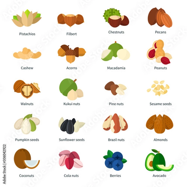 Fototapeta Set of Nuts icons flat vector illustration