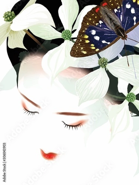 Obraz Great purple emperor